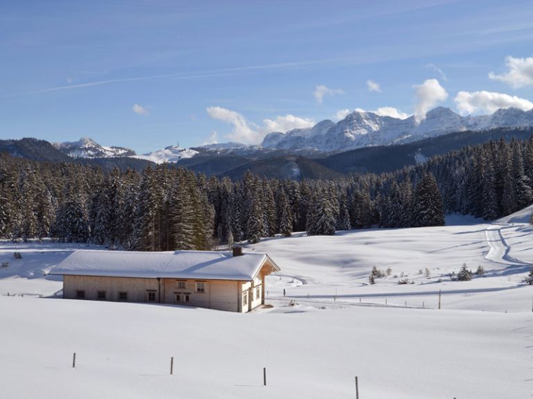 Skihütte direkt im Skigebiet Steinplatte