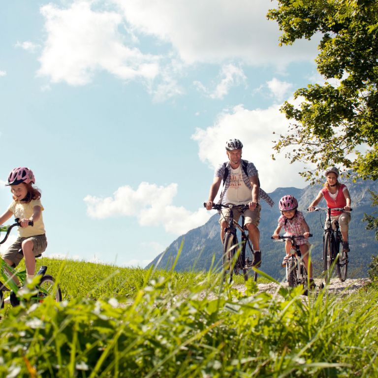 mountainbike t-shirts Ride All The Bikes T-Shirt