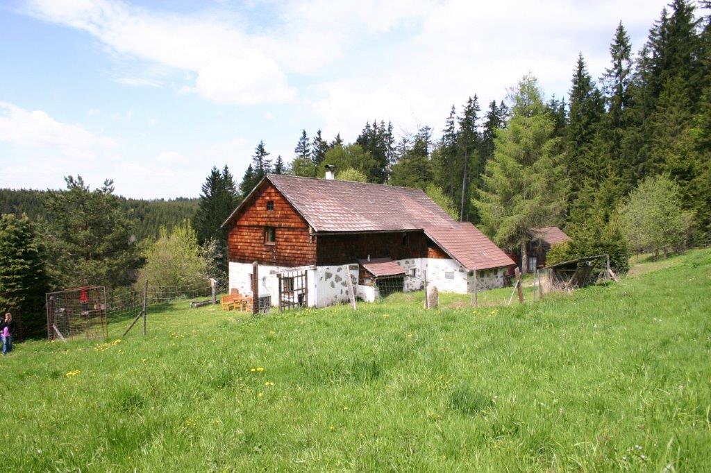 Oberösterreich Liebenau  in Österreich