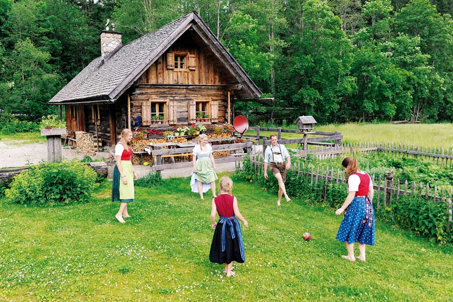 Alpenwiese im Sommer